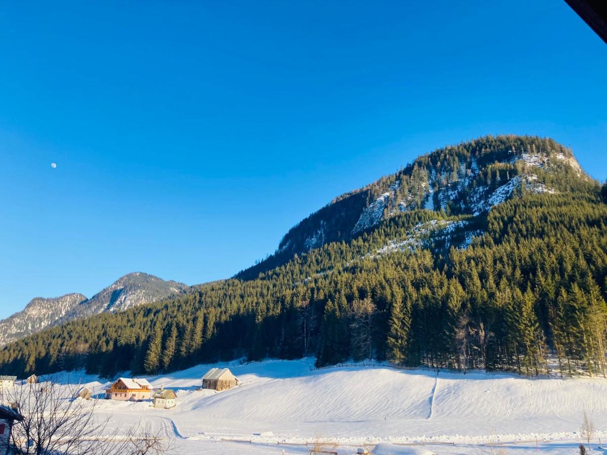 Hallstatt Dachstein Inn Gosau Esterno foto