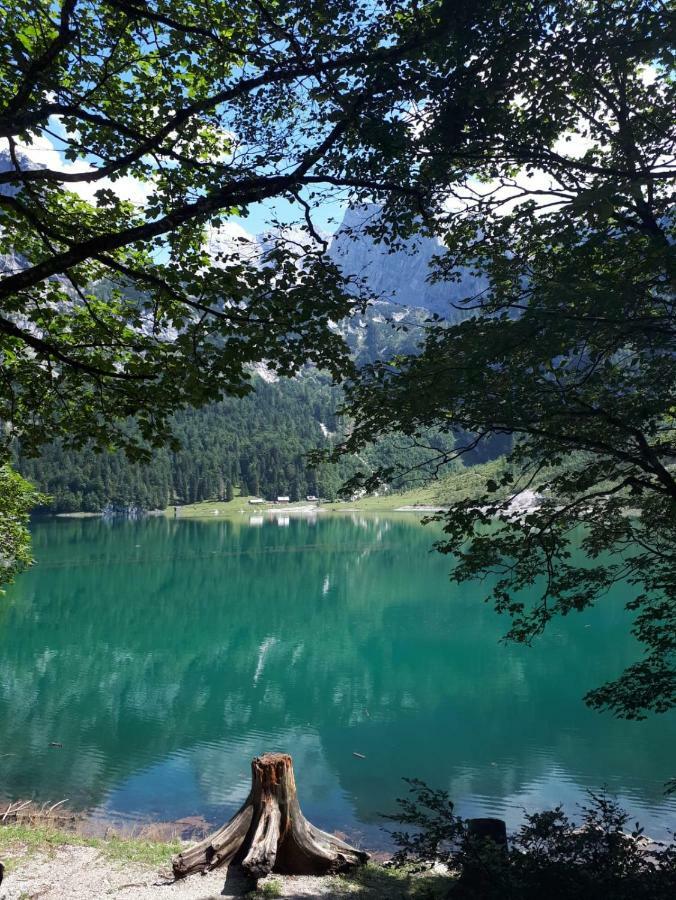 Hallstatt Dachstein Inn Gosau Esterno foto