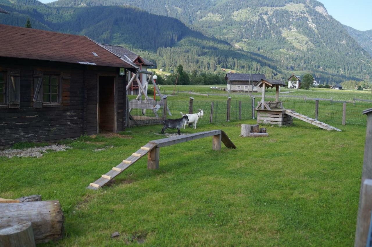Hallstatt Dachstein Inn Gosau Esterno foto
